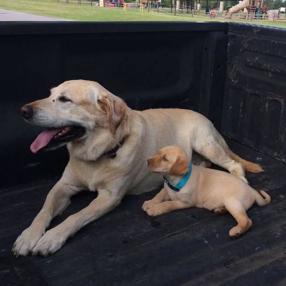 Meet your Posher, Brianna - Picture 1 of 1